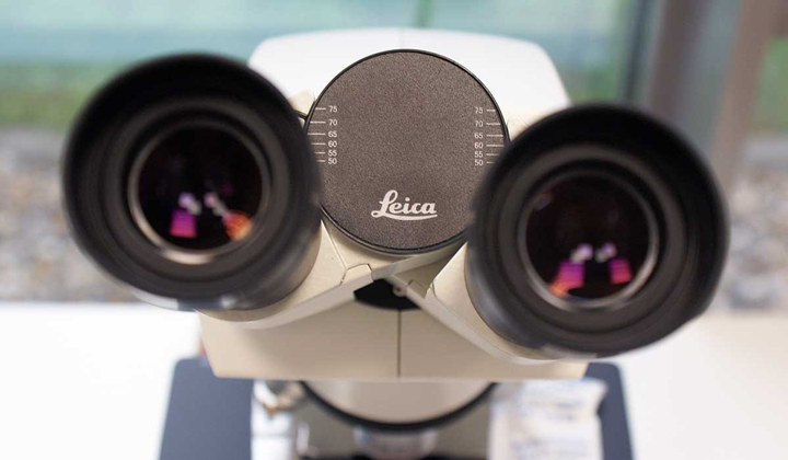 Labordiagnostik - Mikroskop
